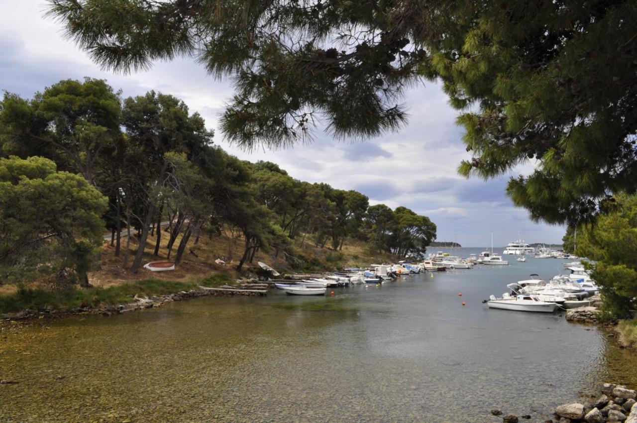 Riodia Seaview Stay Primošten المظهر الخارجي الصورة